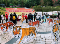 重庆动物园开展虎年生肖文化科普活动