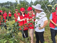 北碚区开展“惠民兴县·科技助农”志愿服务活动