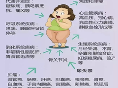 与食俱进 享瘦健康